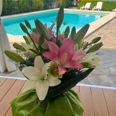 فندق مبيت وإفطار Le Giadali 3*